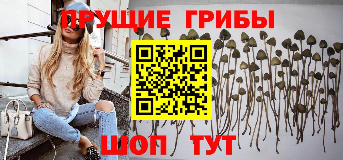 купить наркотики сайты  Галлюциногенные грибы ЛСД  Псилоцибиновые грибы прущие грибы  Вход с VPN  Россошь 